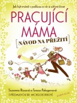 0035671 pracujici mama